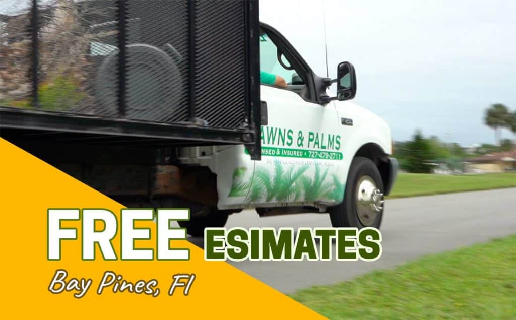 Bay Pines Lawn Care and Landscaping