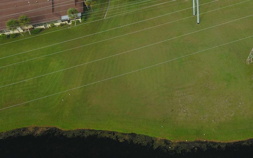 Grass and Landscape Health