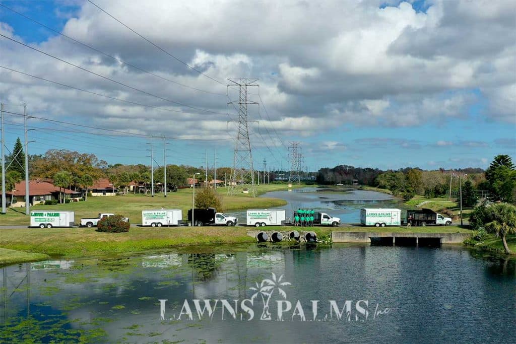 Professional Landscape and Lawn Care Company