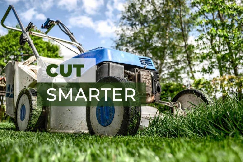 Cut Your Lawn Grass Smarter