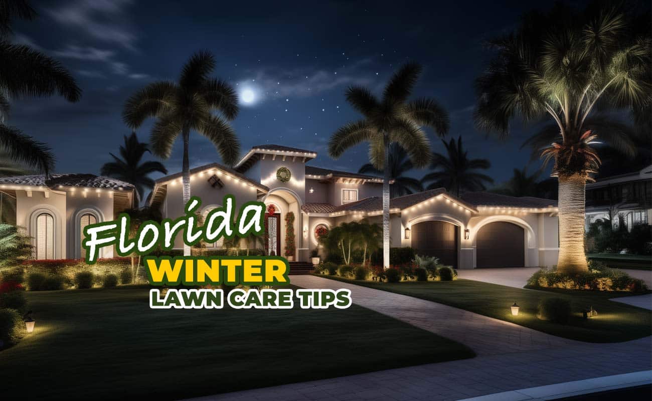 Florida Winter Lawn Care