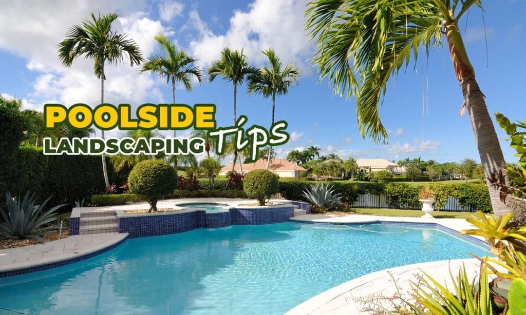 Poolside Landscaping Tips