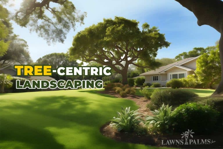 Tree Centric Landscaped Yard