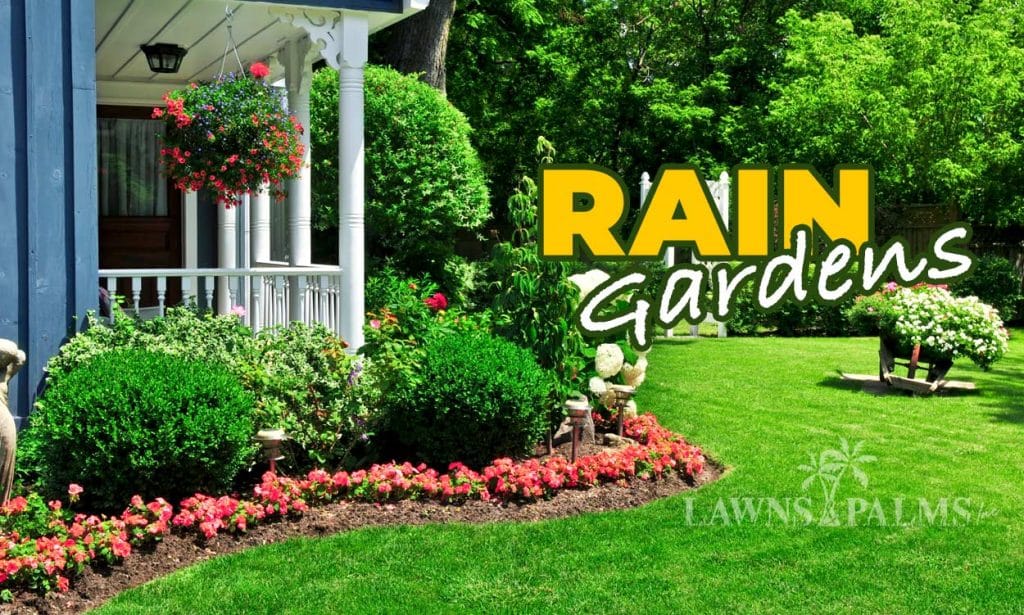 Garden placed under roof rain run off