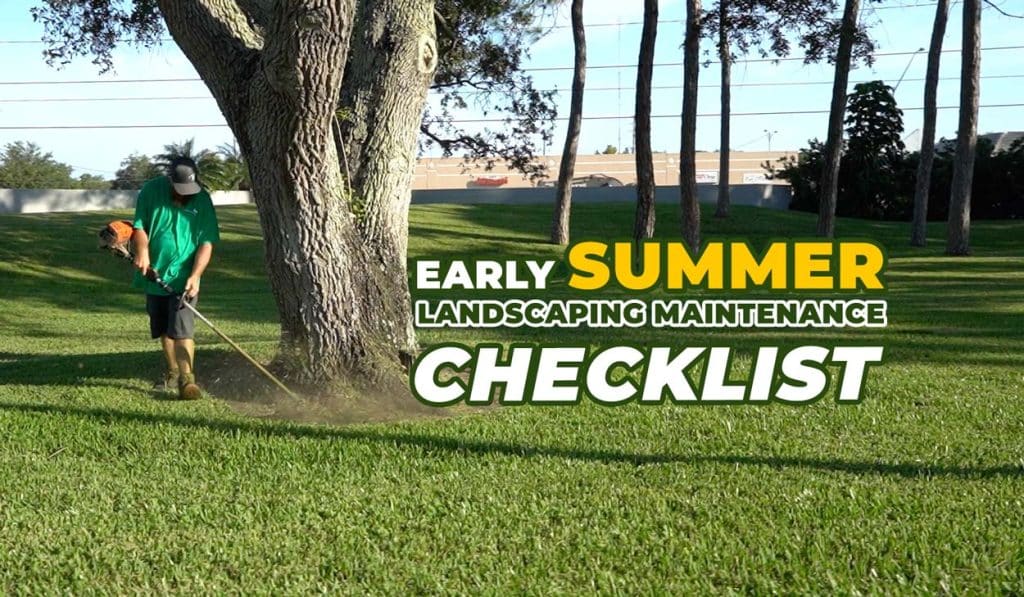 Summertime landscaping with weed eater in Pinellas County
