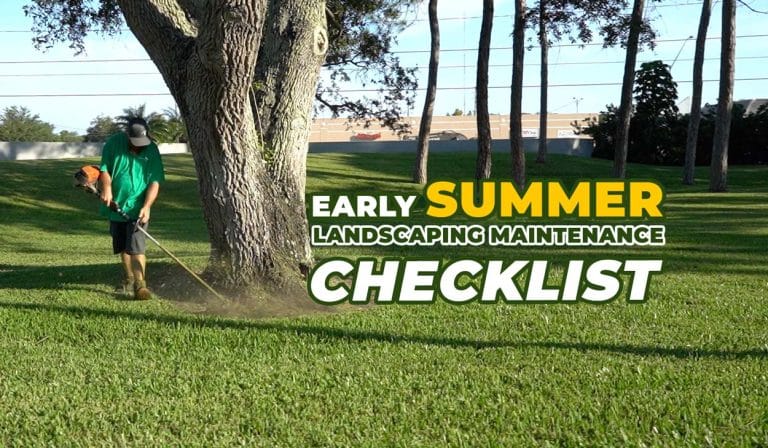 Summertime landscaping with weed eater in Pinellas County
