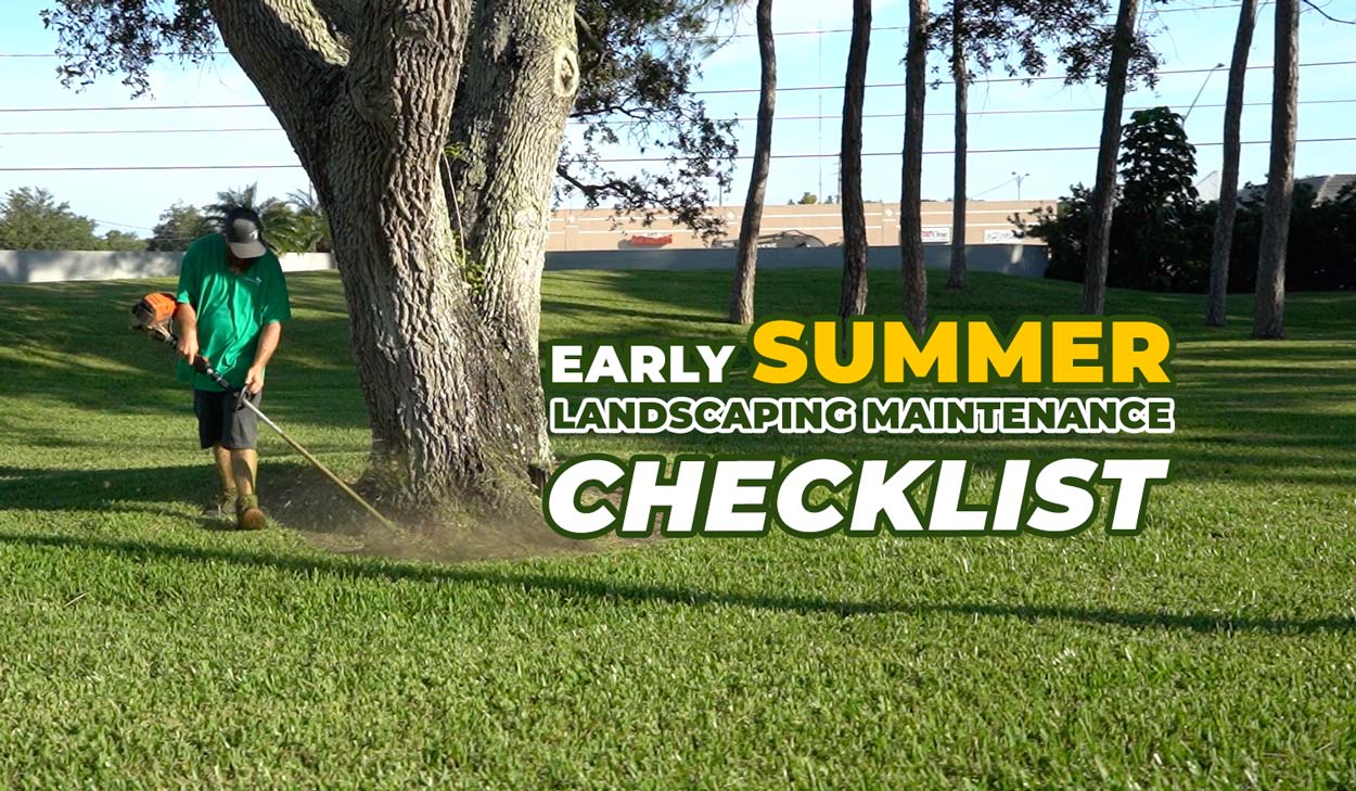 Summertime landscaping with weed eater in Pinellas County