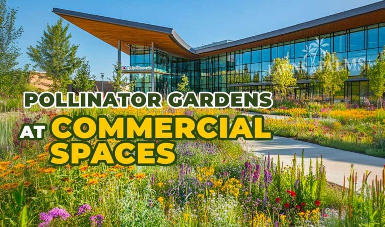 Pollinator Gardens Commercial Spaces