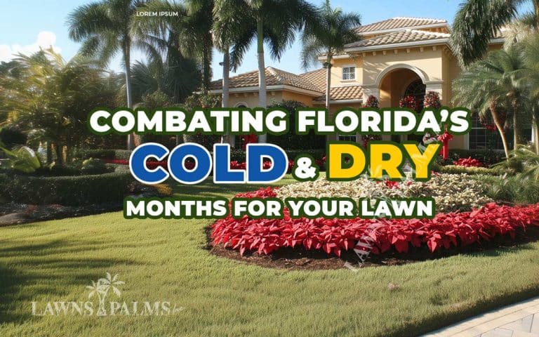 Cold and dry months in Florida for your lawn
