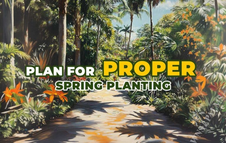 Home in florida with plants ready for spring time planting