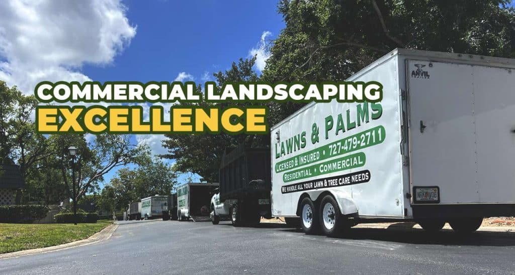 Commercial Landscaping Excellence: Behind the Scenes with Pinellas County's Premier Team