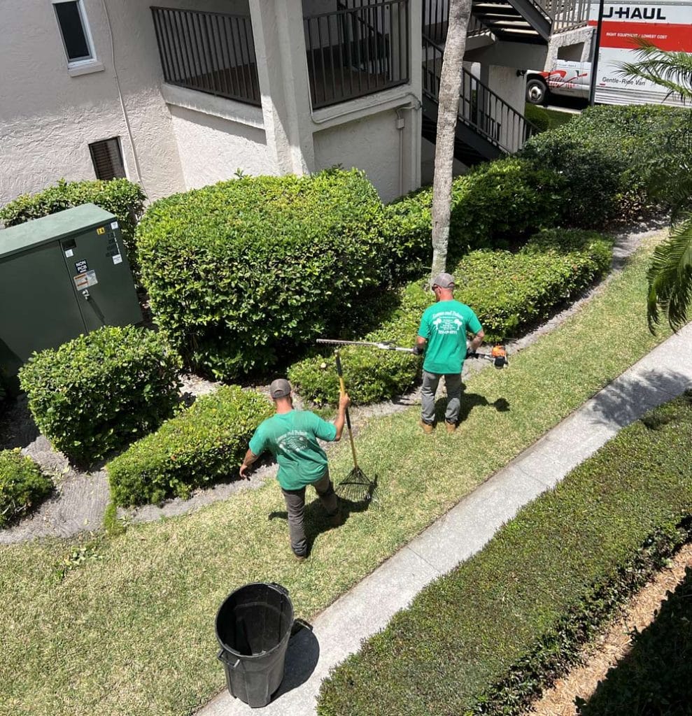 Teamwork on apartment complex hedges