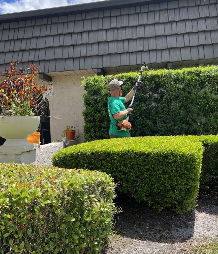 Commercial property hedge trimming