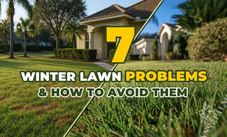 side by side images of nice green grass in Florida middle class neighborhood. One lawn is suffering from frost-based cold issues and the other is in perfect shape.