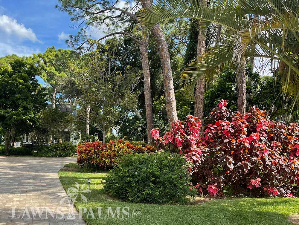 Colorful landscape and bushes at perfectly trimmed landscape