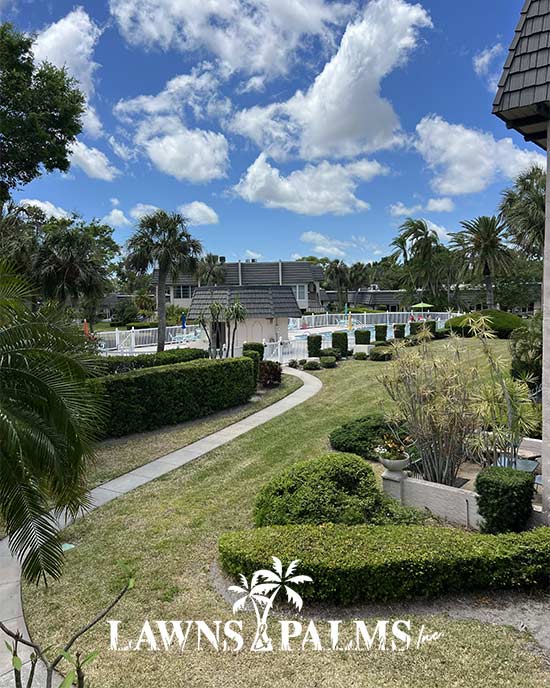 Perfectly hedged bushes and hedges within apartment complex