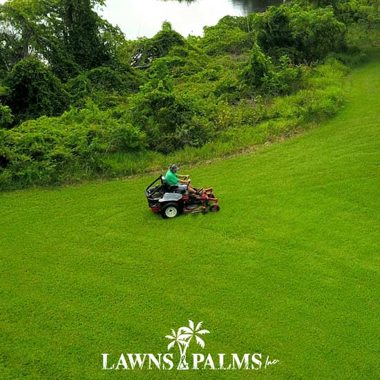 Riding mower getting the job down on extra large, Seminole, Florida based property