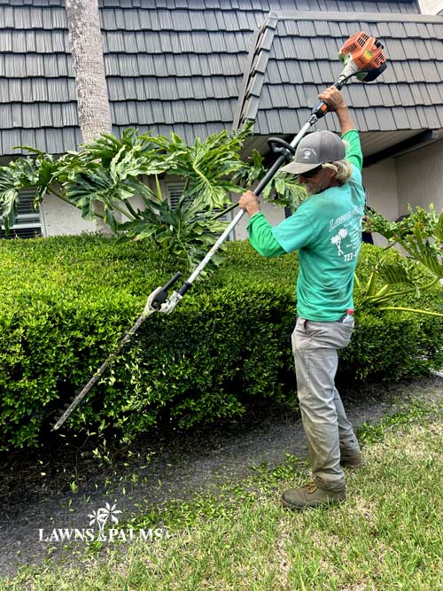 Lawns & Palms team member at work with large gas powered hedging tool