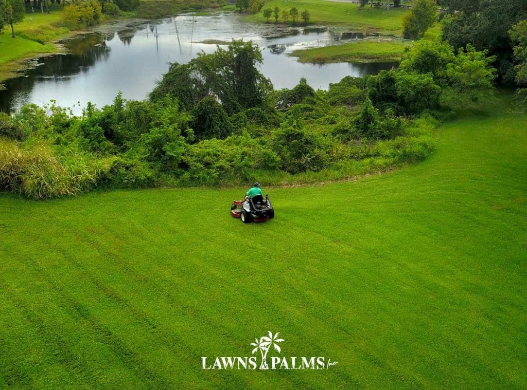 Commercial Mower tending to large complex landscape