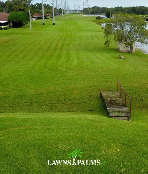 Freshly mowed large landscape in Cleawater, FL