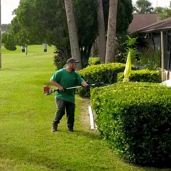 Actively Edging Hedges