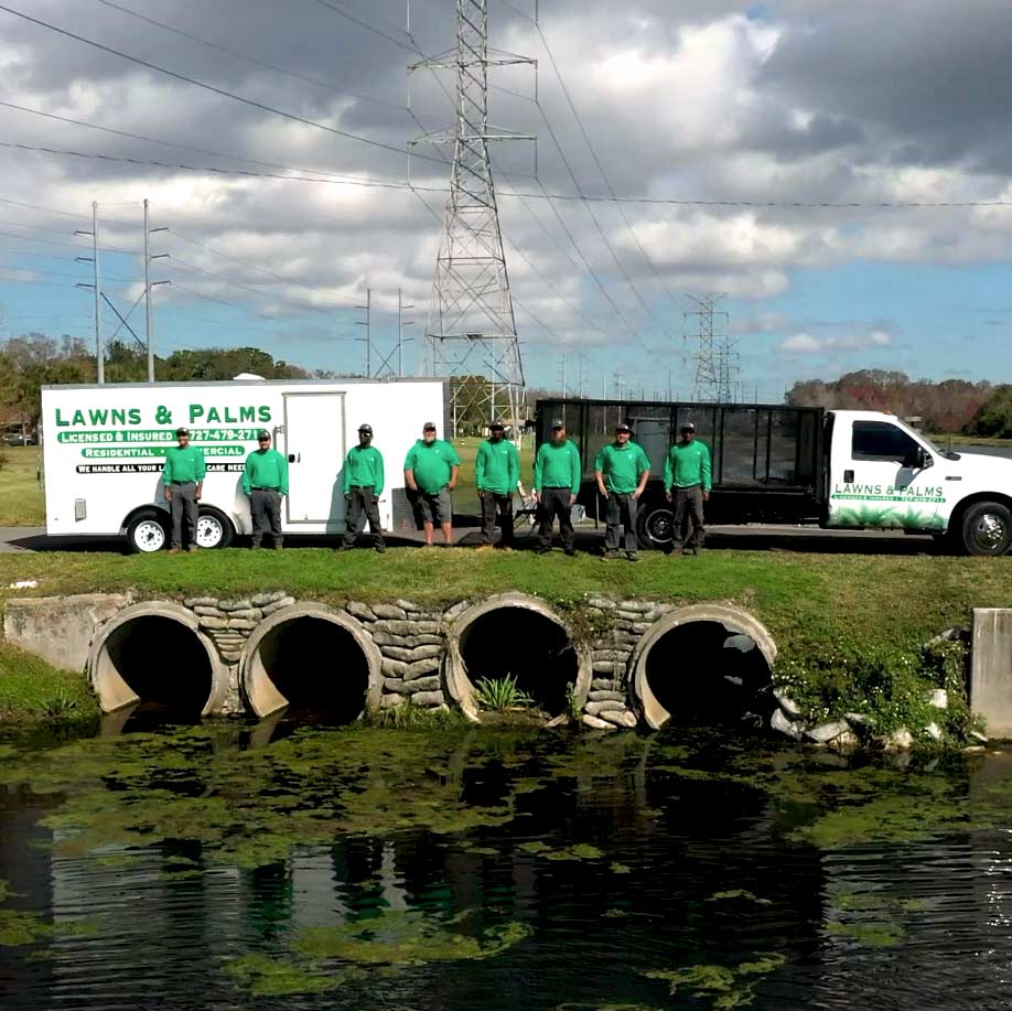 Large landscaping work team in front of company truck and trailer