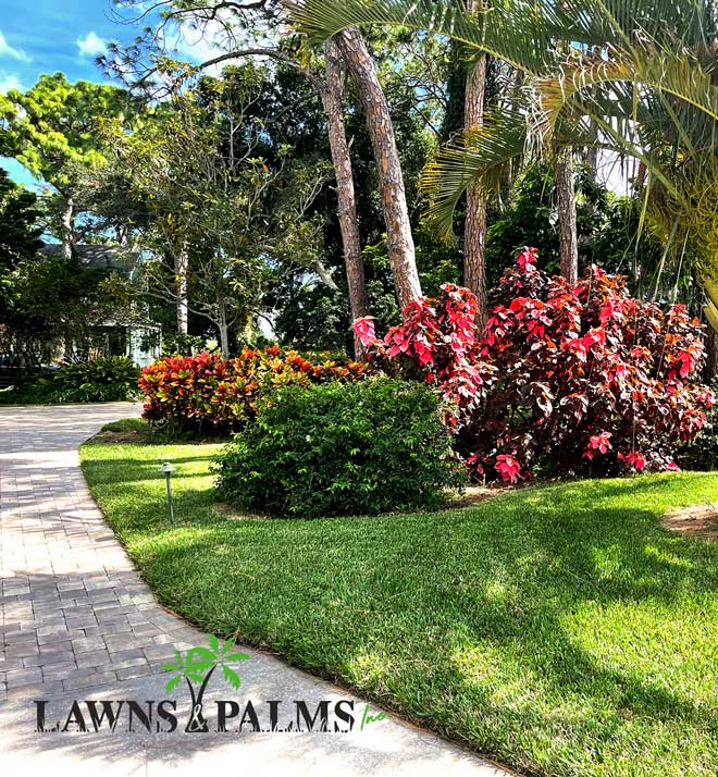 Perfectly manicured Largo landscape