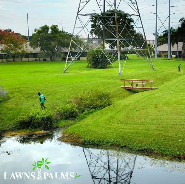 Seminole, Fl landscaping in action with four man team