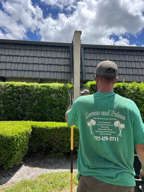 Preparing to trim bushes on condo complex