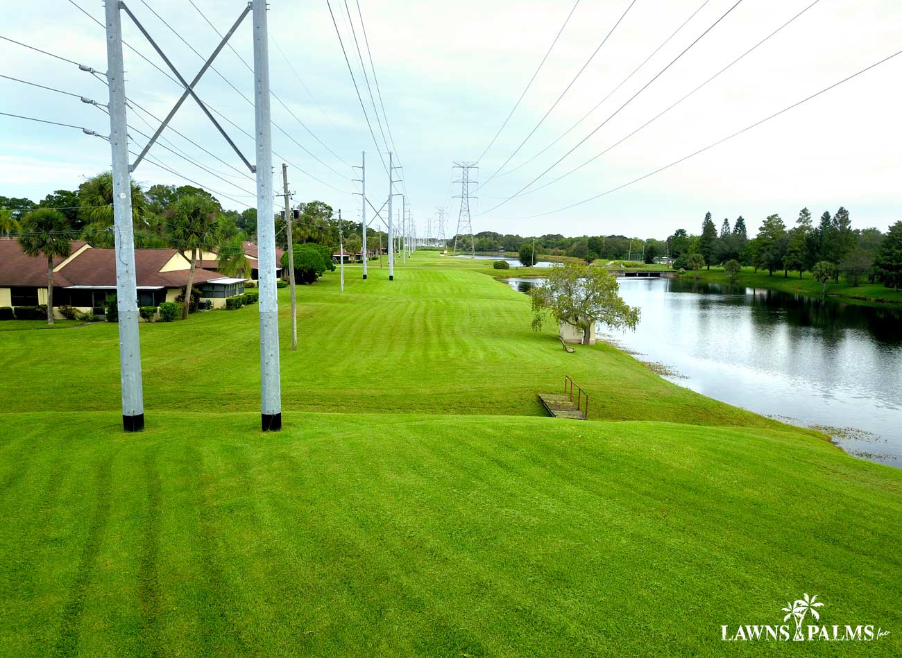 Massive property freshly mowed by Lawn and Palms in Dunedin, Fl