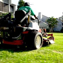 Riding Mower Up Close
