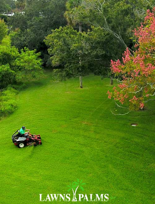 Seminole, Fl mowing a large condo complex landscape