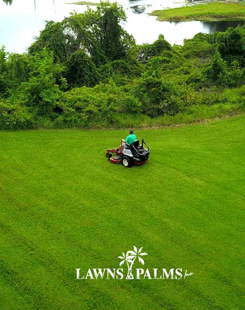 Perfect lawn mowing lines from professional service