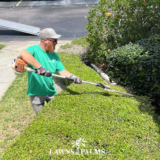 Clean line hedge landscape trimming in Largo, FL