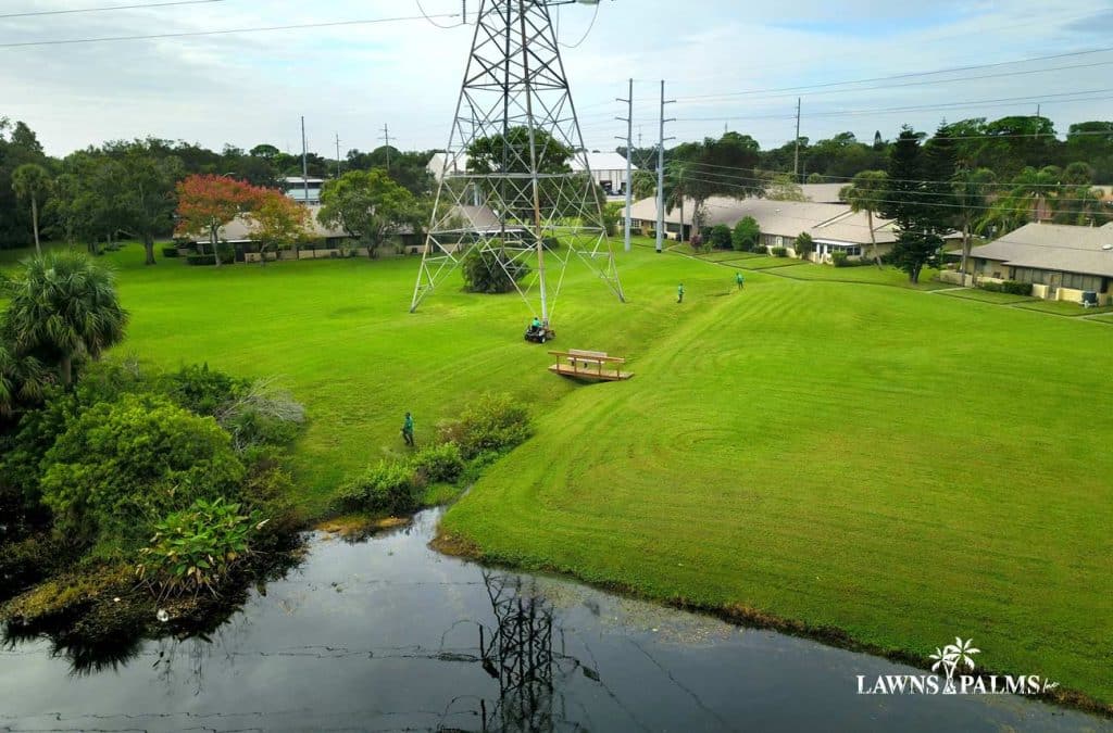 Pinellas Lawn Mowing