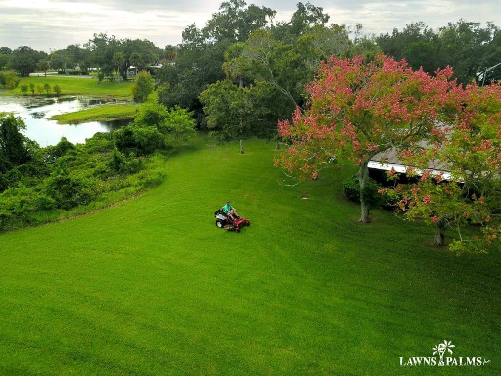 Seminole, Fl landscaping at large scale