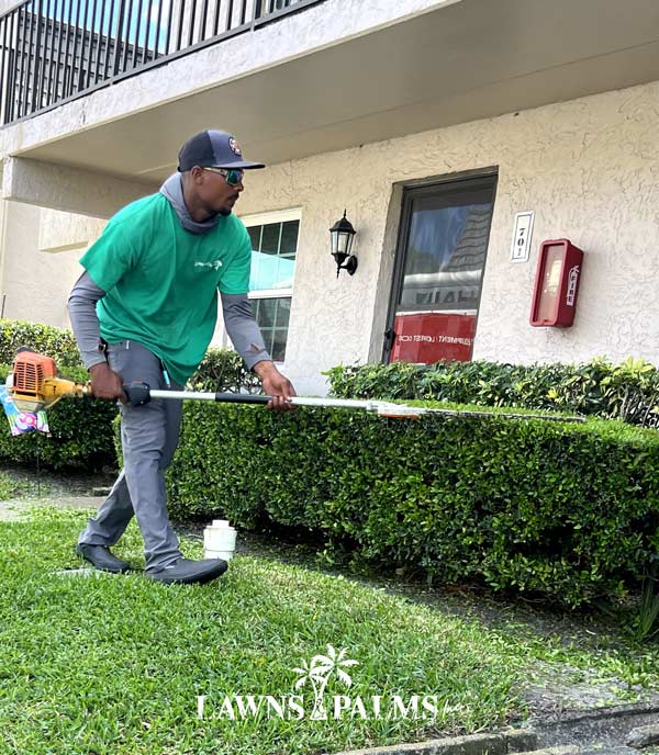 Actively hedge trimming in Seminole, FL