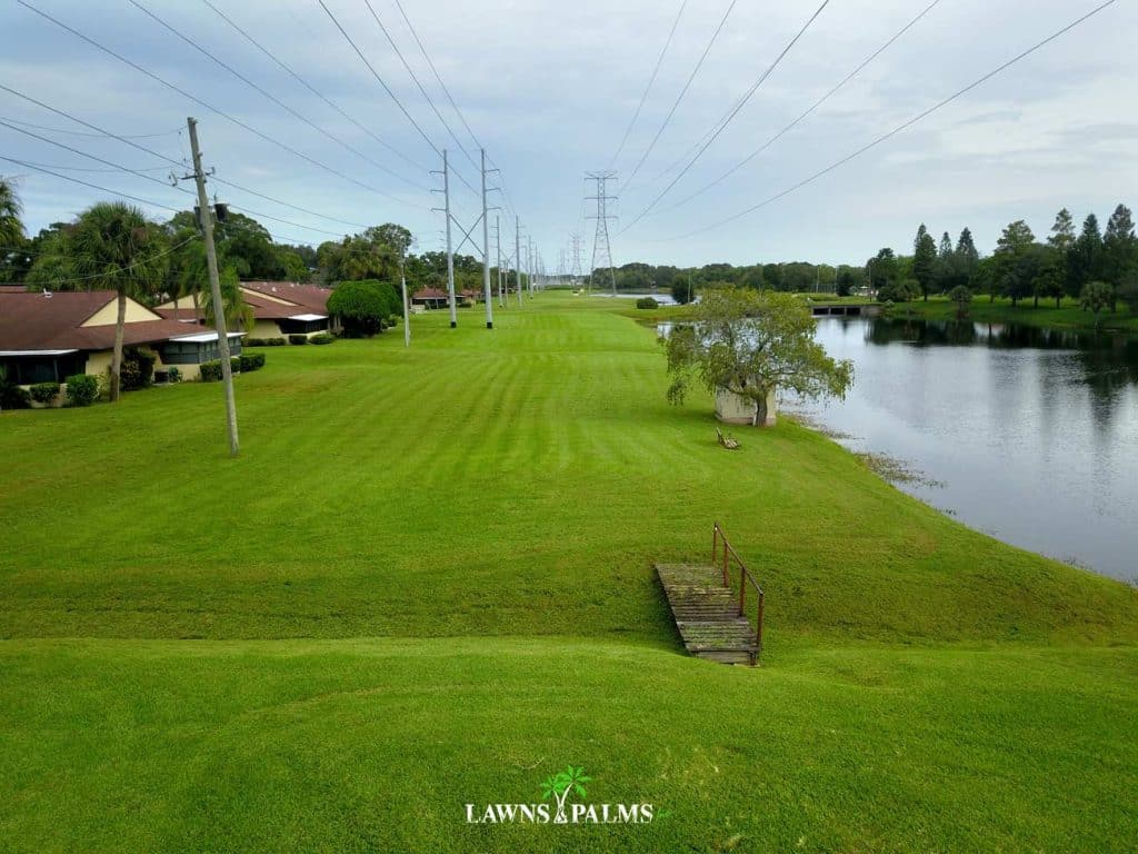 Extra large property mowed by the Lawns and Palms team