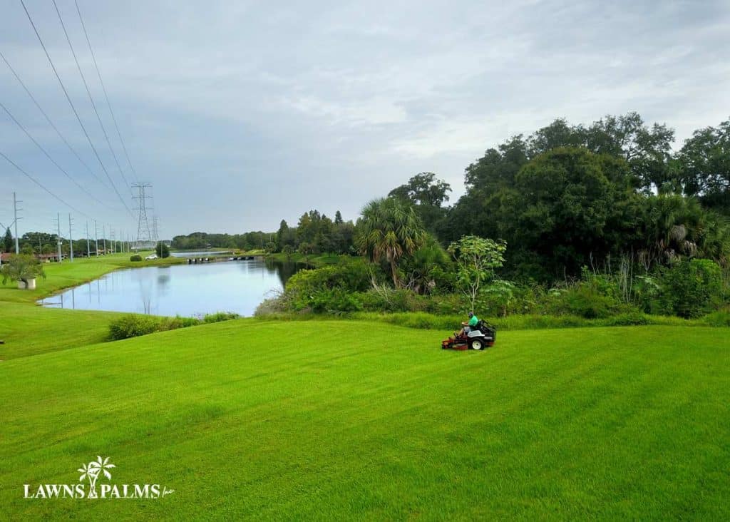 Landscape Care and Maintenance Services