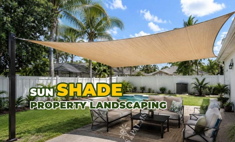 Florida yard with sun sails and nice landscaping